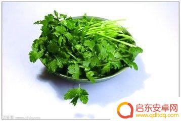 宝宝小厨房如何去除异味 厨房异味去除方法