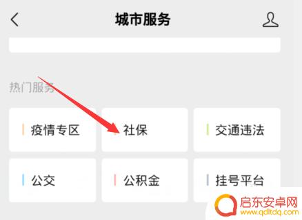 城乡养老保险在手机上怎么缴纳 养老保险手机缴费的详细步骤