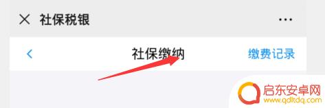 城乡养老保险在手机上怎么缴纳 养老保险手机缴费的详细步骤