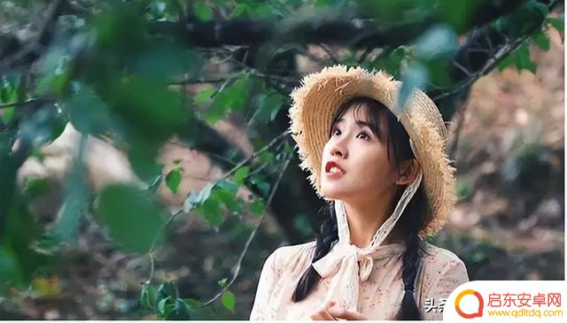 抖音用户和抖音网红有多少(抖音用户等级)