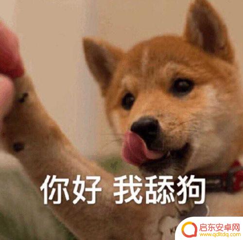 抖音重庆乖乖文案(乖乖重庆情话)