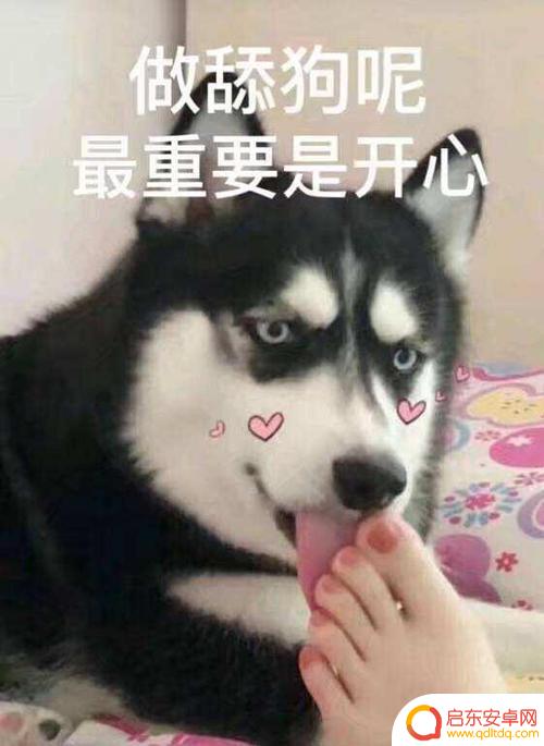 抖音重庆乖乖文案(乖乖重庆情话)
