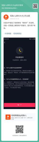 抖音特色功能审核(抖音特色功能审核需要多久)