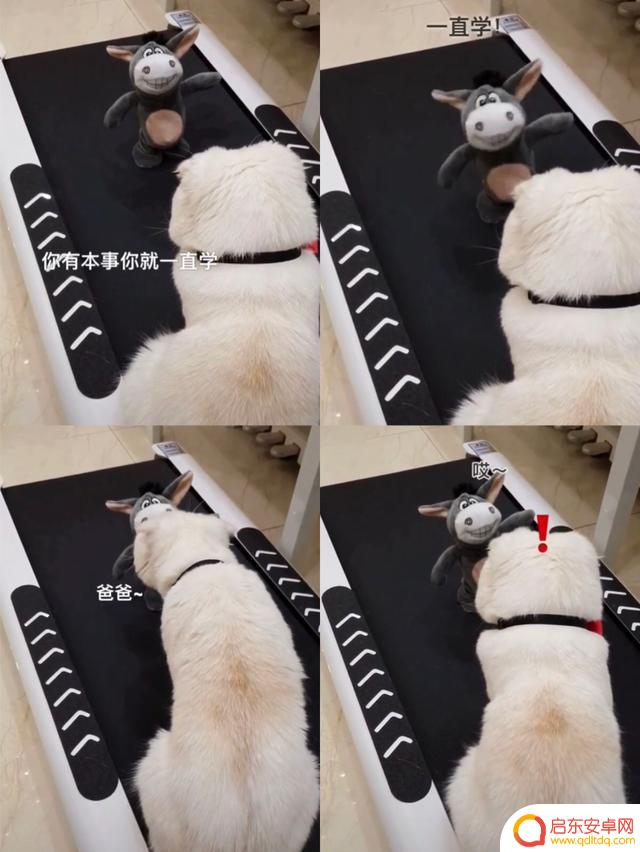 抖音上火的吵架视频(抖音上火的吵架视频是谁拍的)