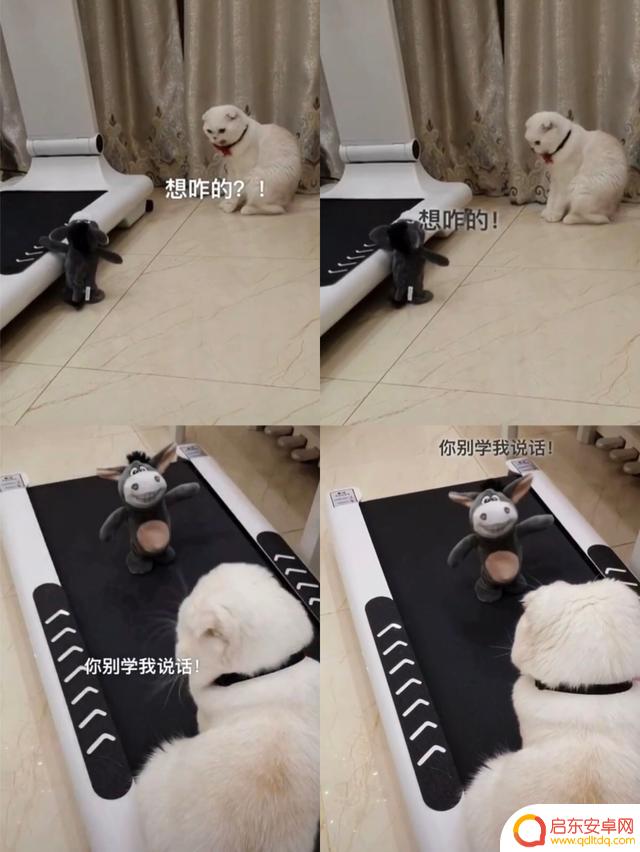 抖音上火的吵架视频(抖音上火的吵架视频是谁拍的)