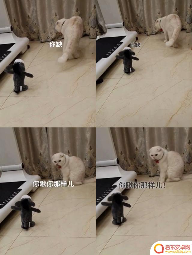 抖音上火的吵架视频(抖音上火的吵架视频是谁拍的)