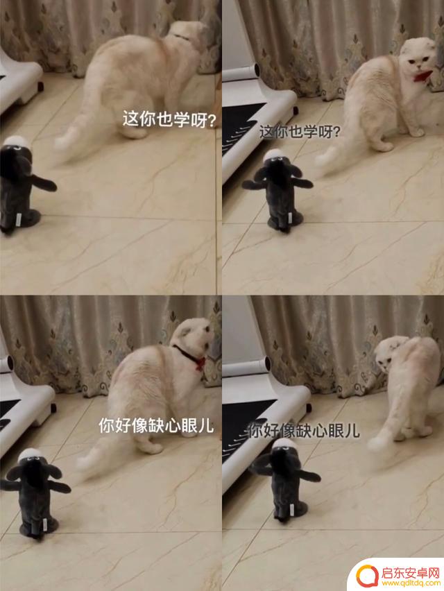 抖音上火的吵架视频(抖音上火的吵架视频是谁拍的)