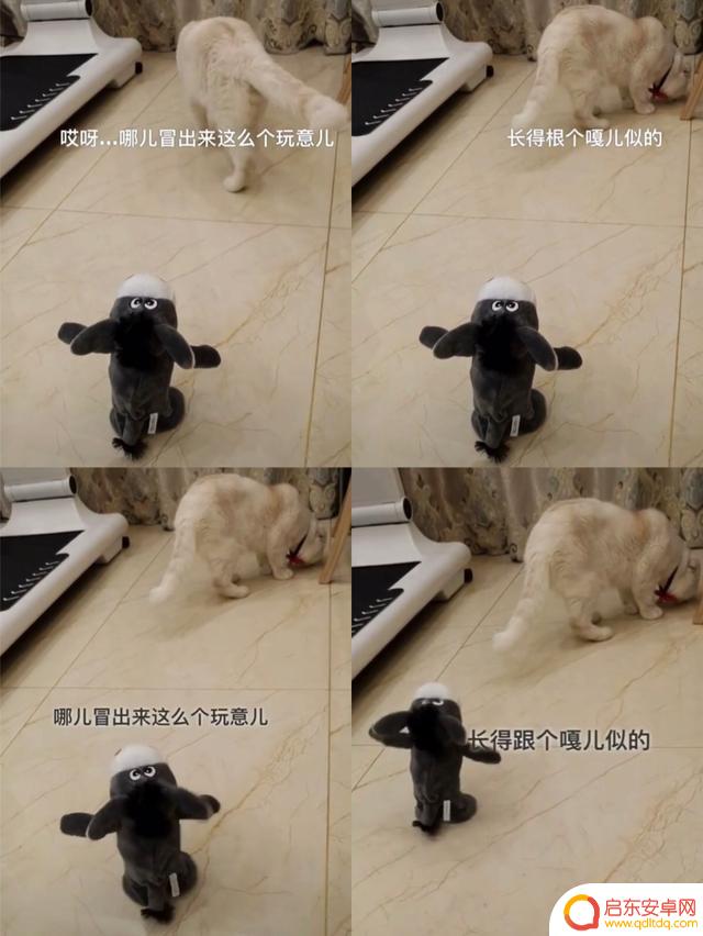 抖音上火的吵架视频(抖音上火的吵架视频是谁拍的)