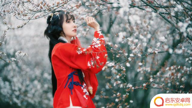 王府婆媳抖音小说(王府婆媳抖音小说免费阅读)