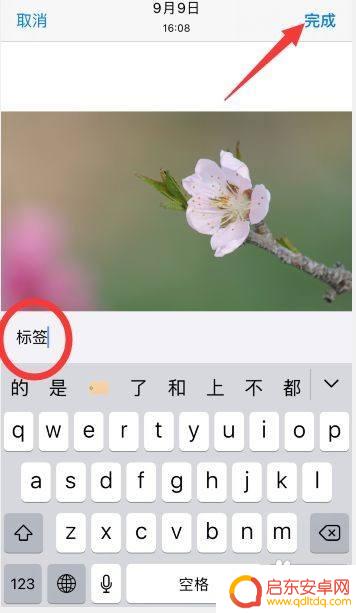 苹果手机图片标签怎么设置 如何在苹果手机上给照片加标签
