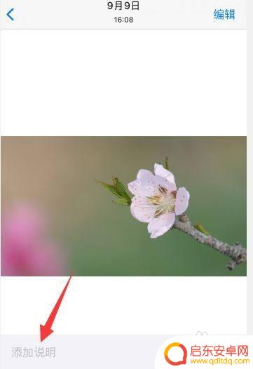 苹果手机图片标签怎么设置 如何在苹果手机上给照片加标签