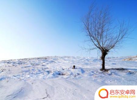农村雪景抖音文案(农村雪景抖音文案怎么写)