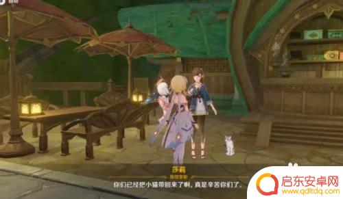 原神怎么捕捉小猫 《原神》隐藏成就捉猫记获得方法
