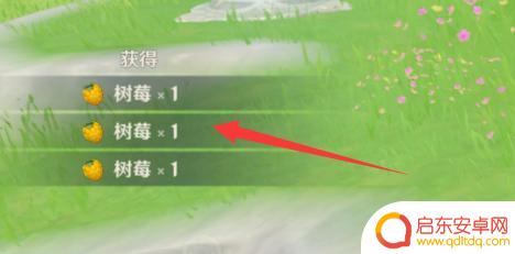 原神pc如何快速捡东西 原神电脑版一键拾取道具