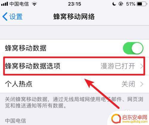 苹果手机打不开4g网络 苹果iPhone手机开启蜂窝数据后没有显示4G网络