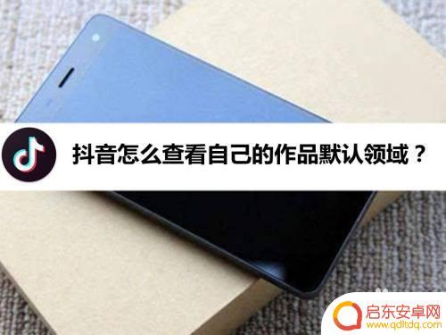 抖音怎么查询默认品类(抖音怎么查询默认品类信息)