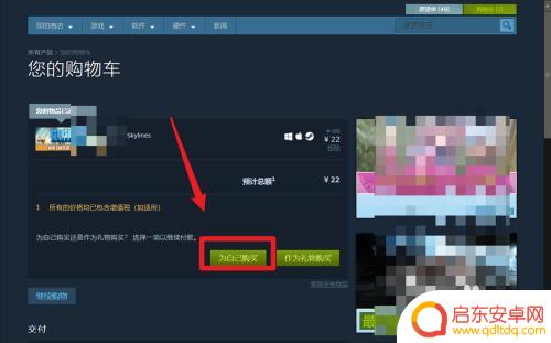 steam都市线 都市天际线游戏在Steam上的购买方法