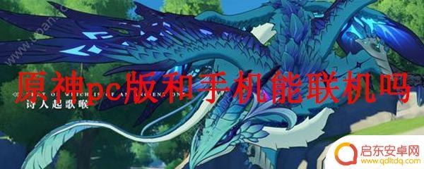 原神手游和端游能联机吗 原神PC版和手机版联机功能详解