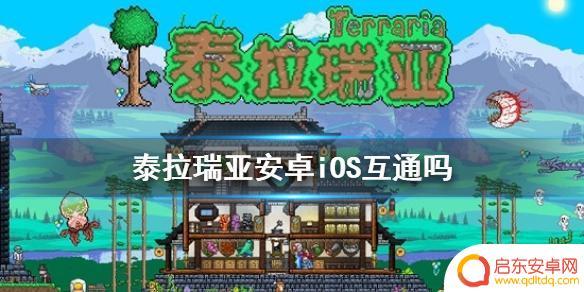 泰拉瑞亚ios和tap能互通吗 《泰拉瑞亚》安卓iOS互通方法