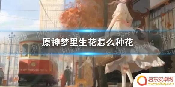 原神活动的花怎么种 《原神》梦里生花种花技巧分享
