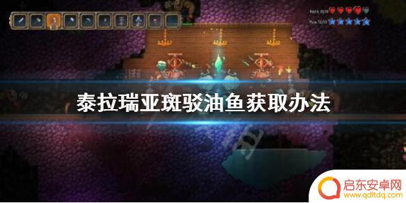 泰拉瑞亚斑驳油鱼怎么刷 《泰拉瑞亚》斑驳油鱼在哪里钓
