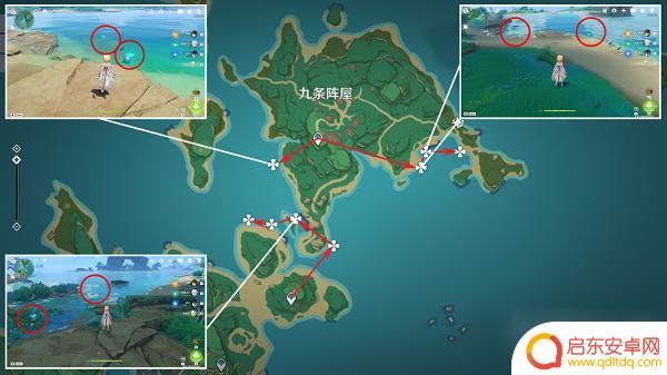 原神海灵芝具体位置 原神海灵芝怎么采集