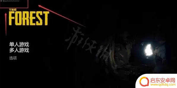 steam森林秘 《森林》全控制台指令大全