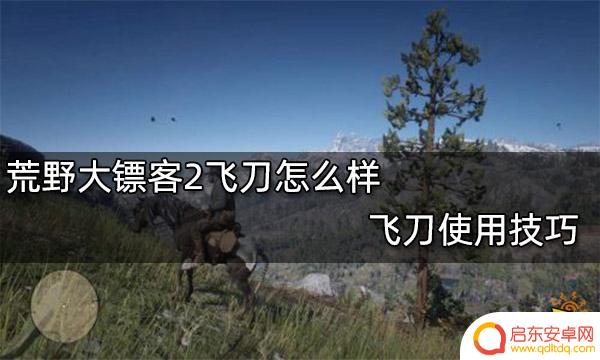 荒野大镖客飞刀 荒野大镖客2飞刀技巧