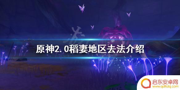 原神稻妻都有什么岛 《原神》2.0稻妻地区去法介绍