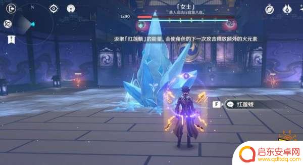 原神打女士用什么属性 原神周常BOSS女士打法