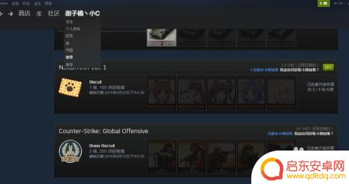 steam卡牌用什么购买 Steam游戏卡片怎么买