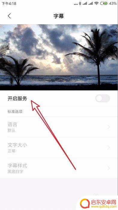 手机视频字母怎么设置 小米手机如何打开字幕显示