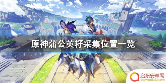 蒲公英花籽怎么采摘原神 原神蒲公英籽位置一览