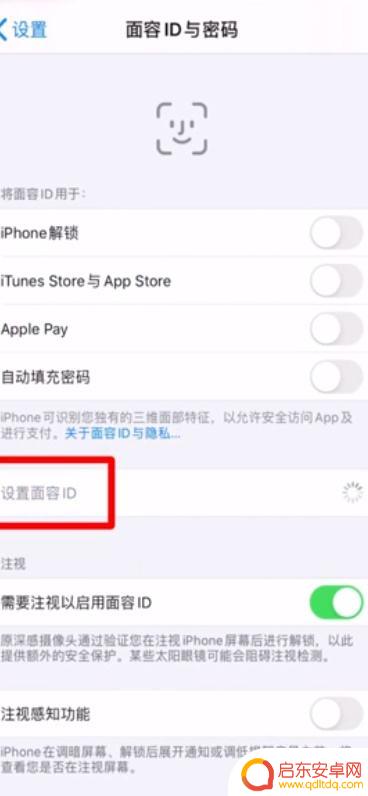 苹果手机单独面容怎么设置 苹果X手机面容识别设置教程