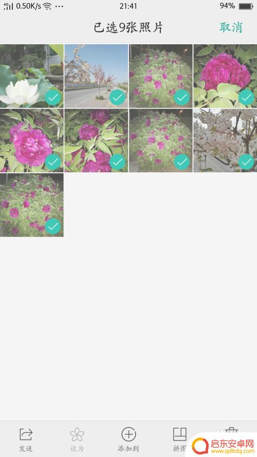 oppo手机怎么拼图两张照片 OPPO手机相册如何制作图片拼图