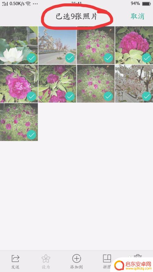oppo手机怎么拼图两张照片 OPPO手机相册如何制作图片拼图