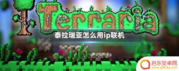 泰拉瑞亚怎么ip地址联机 泰拉瑞亚怎样用IP进行游戏联机