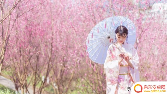 抖音里送抖音一号多少钱(抖音里送抖音一号多少钱一个)