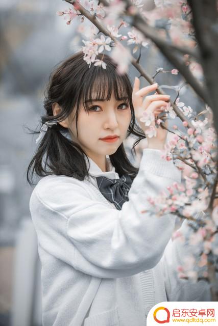 抖音里送抖音一号多少钱(抖音里送抖音一号多少钱一个)