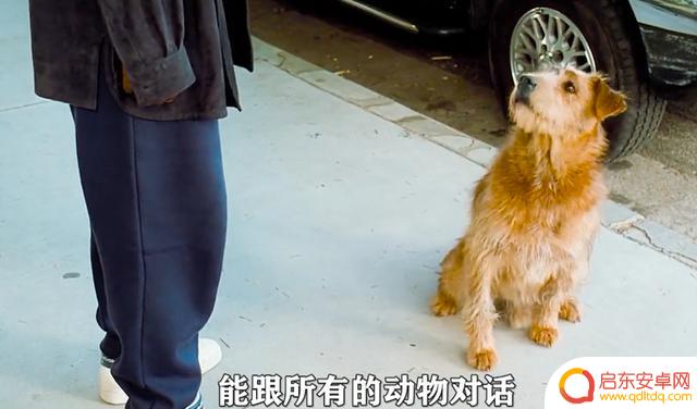 抖音停顿声音特效(抖音停顿声音特效怎么弄)