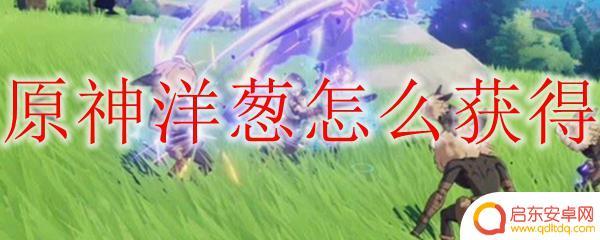 原神洋葱在哪里采集 原神洋葱怎么种植