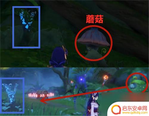 原神怎么点燃蓝色火炬 原神须弥蓝色火把怎么使用