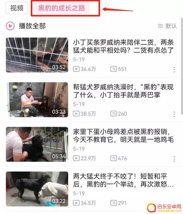 抖音狗狗大佬图片(抖音狗狗大佬图片大全)