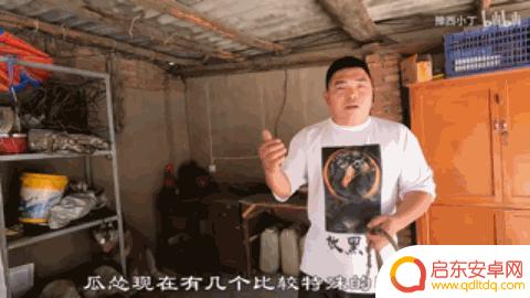 抖音狗狗大佬图片(抖音狗狗大佬图片大全)