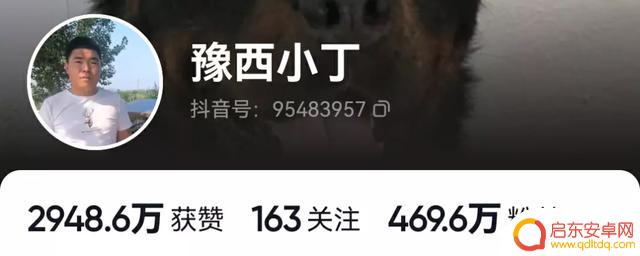 抖音狗狗大佬图片(抖音狗狗大佬图片大全)