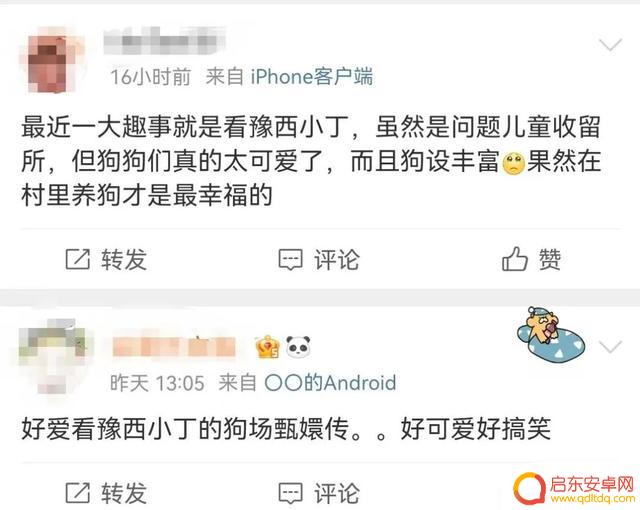 抖音狗狗大佬图片(抖音狗狗大佬图片大全)