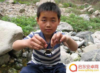 抓螃蟹不被夹 怎样抓螃蟹不被夹