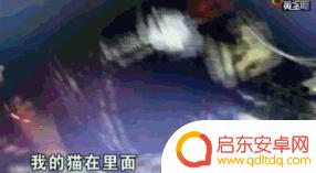 反串演员小陈抖音(反串演员小陈抖音视频)