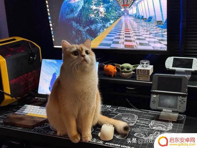 尝试这6款国产单机精品小游戏，告别3A游戏的疲倦感！