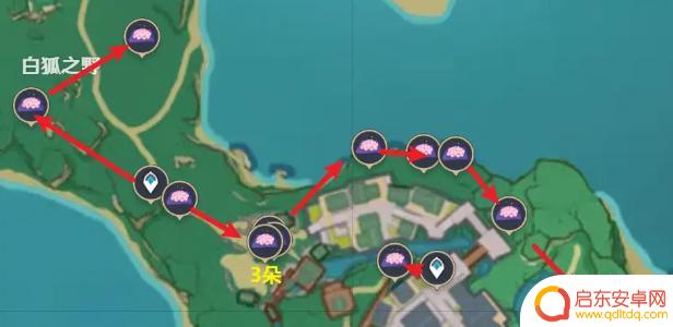 原神鸣神岛绣球怎么采集 原神绯樱绣球采集路线分享